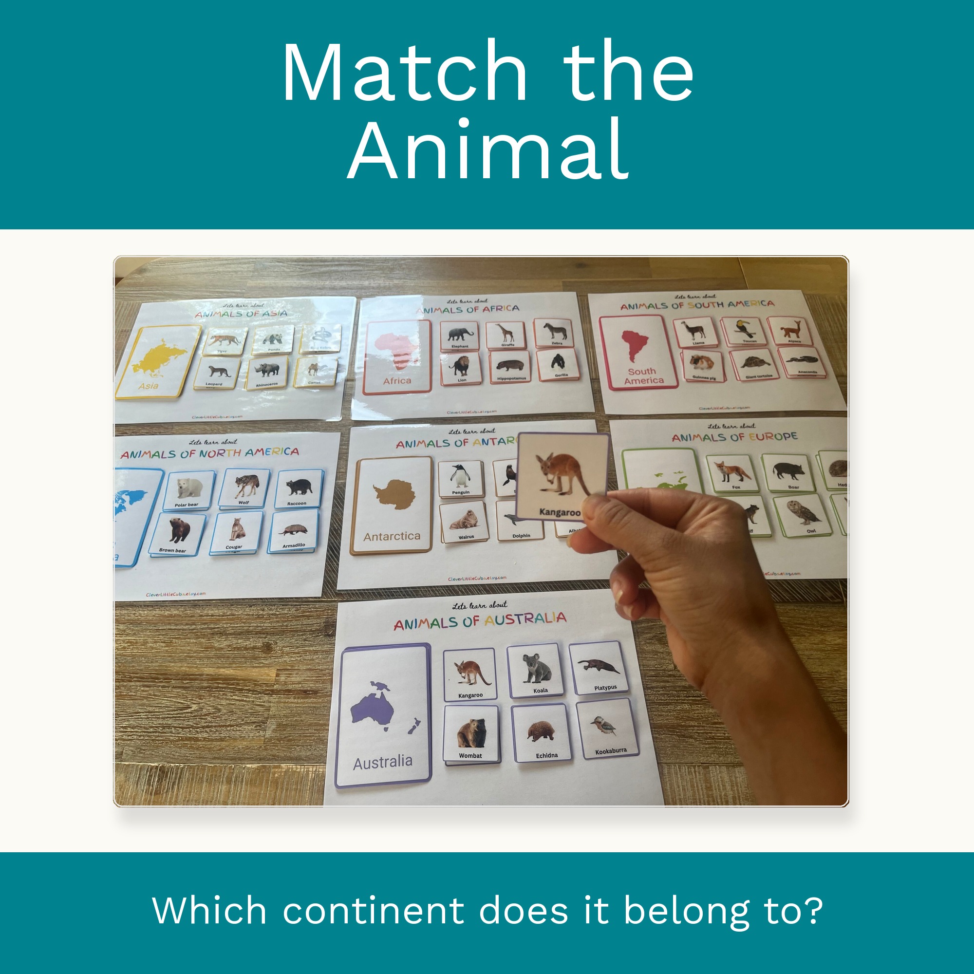 Animals of the Continents preview 2