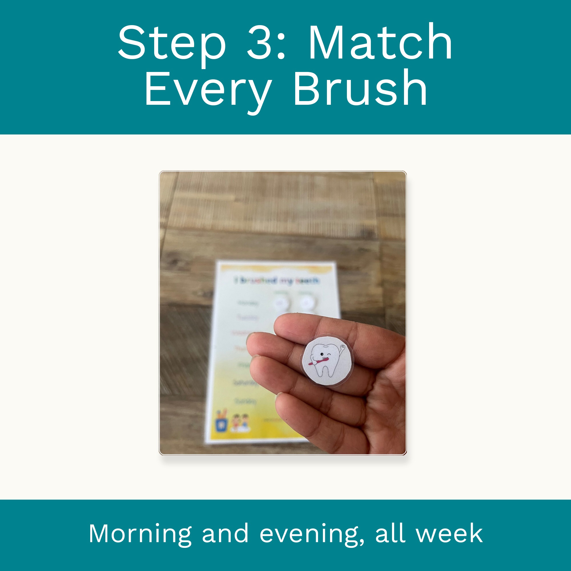 Brushing Teeth Chart for Toddlers: Daily Routine Matching Activity (Digital Download) preview 5