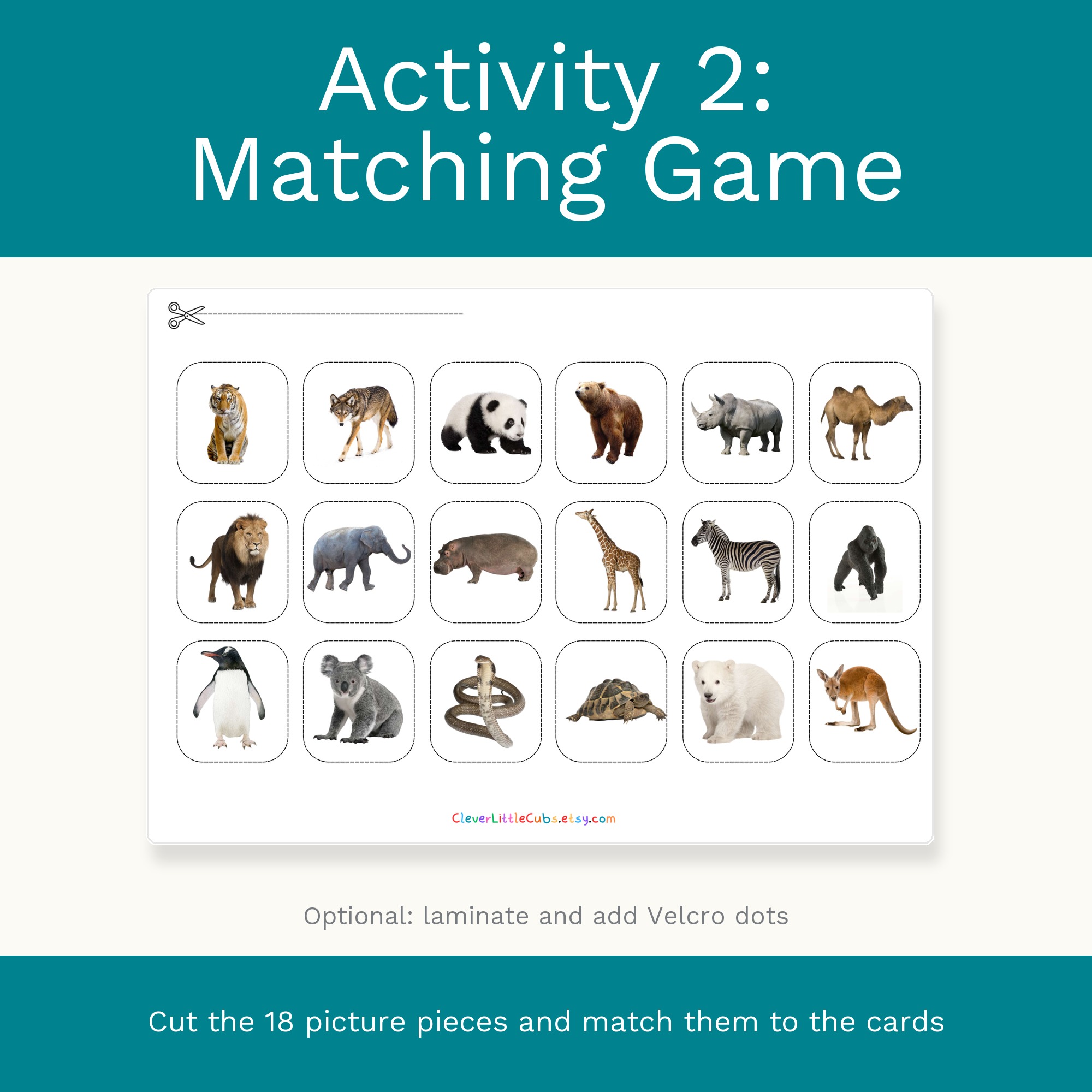 Wild Animals Flash Cards & Matching Game 2 in 1: Montessori Real Picture Cards (Digital Download) preview 3