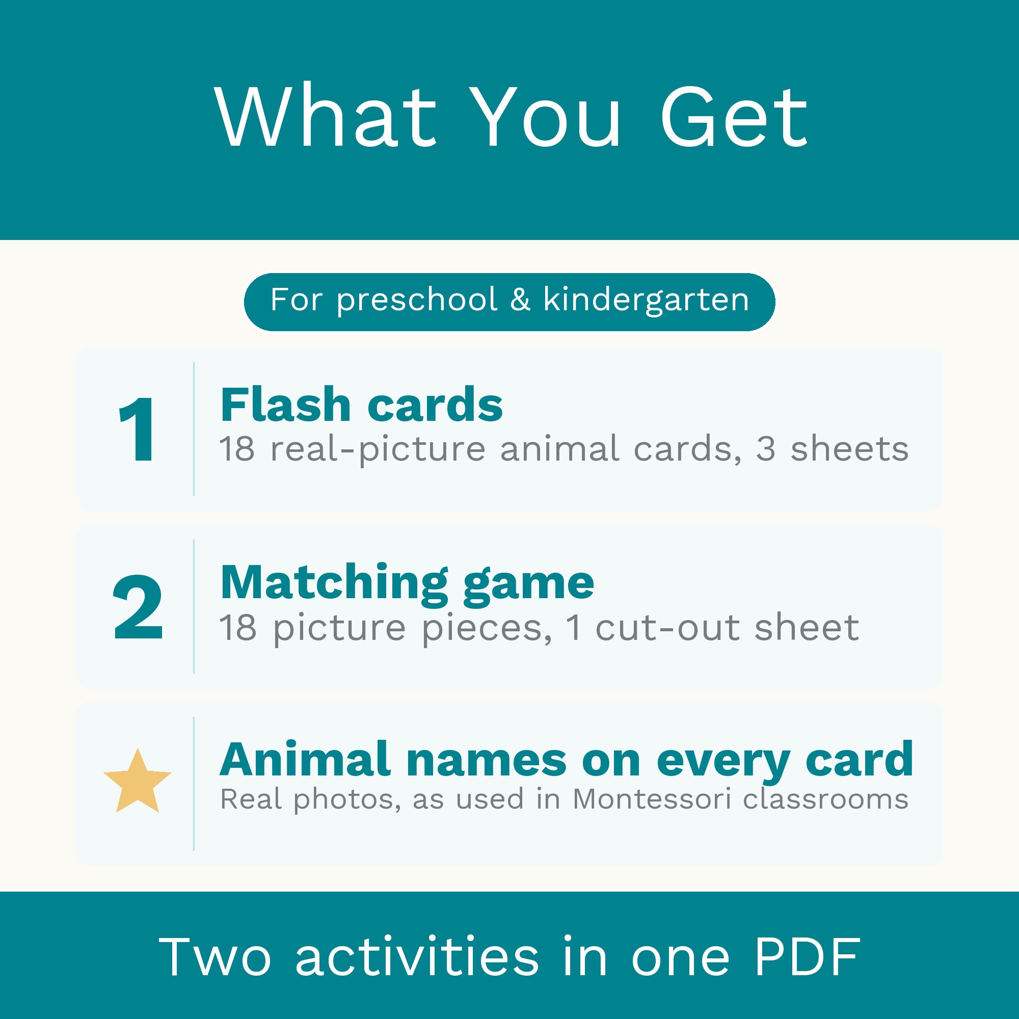 Wild Animals Flash Cards & Matching Game 2 in 1: Montessori Real Picture Cards (Digital Download) preview 5
